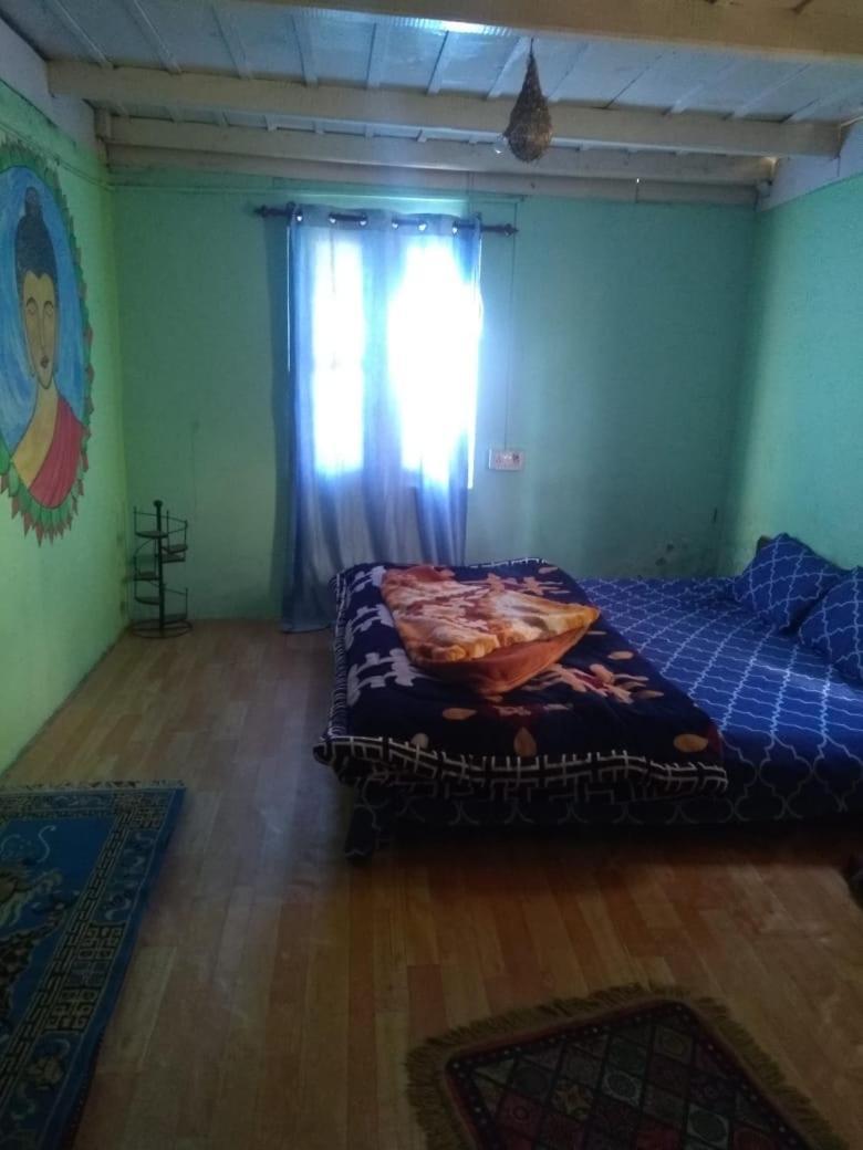 Renuka Homestay And Cafe 卡索尔 外观 照片