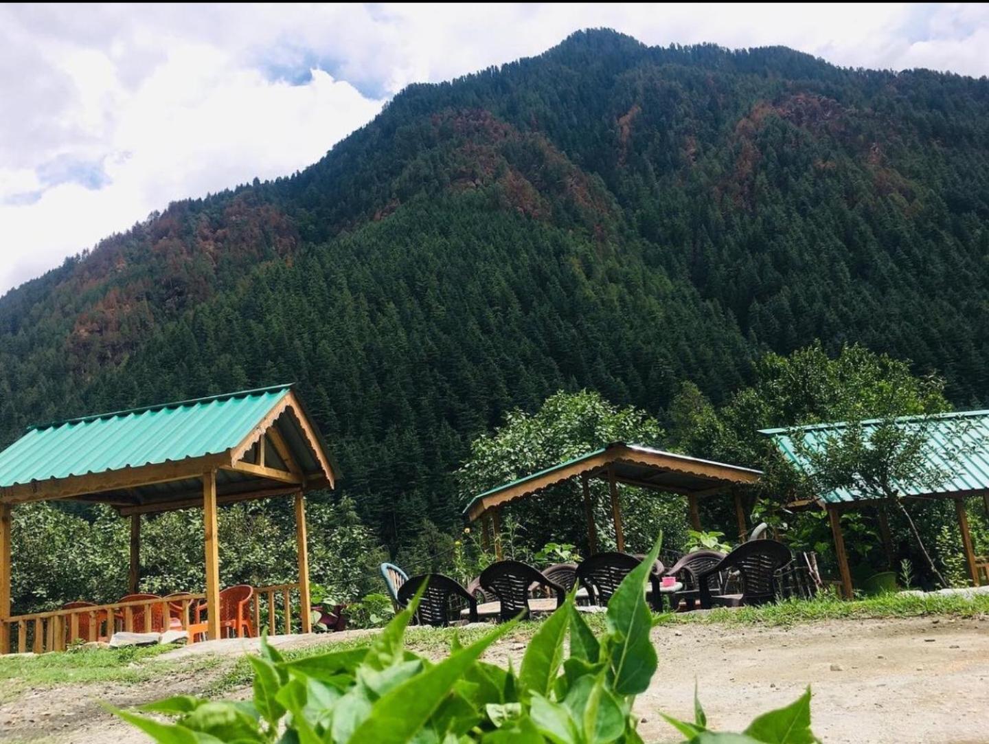 Renuka Homestay And Cafe 卡索尔 外观 照片