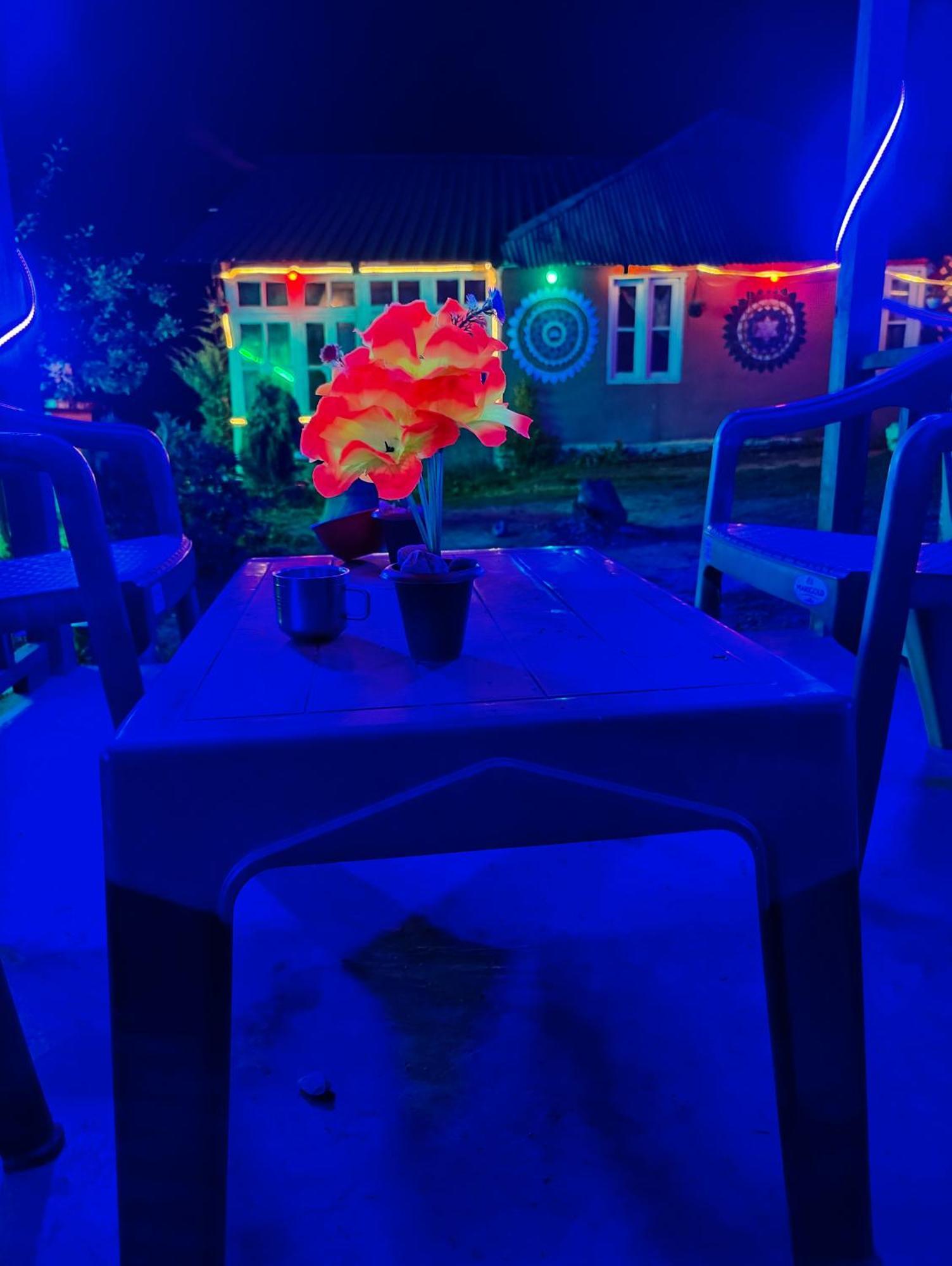 Renuka Homestay And Cafe 卡索尔 外观 照片